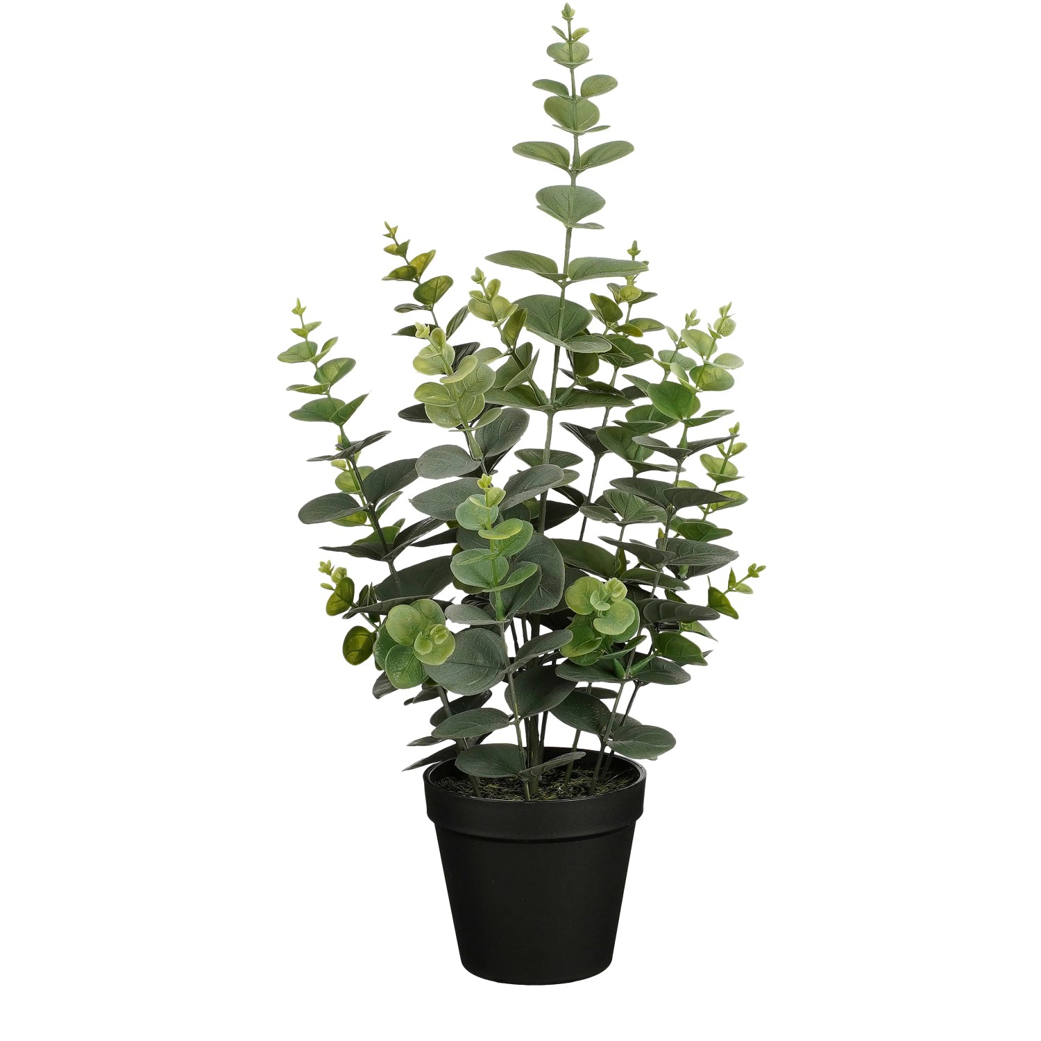 Mica Decorations Eucalyptus im Topf Grün 53 Ø 23 cm kaufen bei OBI