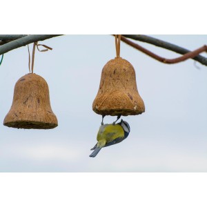 Futterglocken mit Fettfutter: Dobar Vogelfutter-Mix mit Meise beim Fressen.