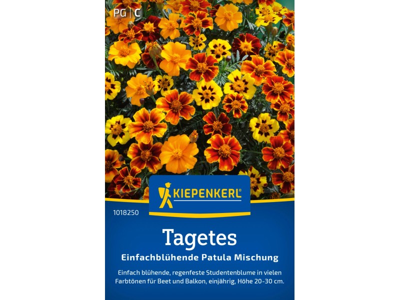 El Taishan Orange Marigold Presenta Flores Foto De Stock 2359656607