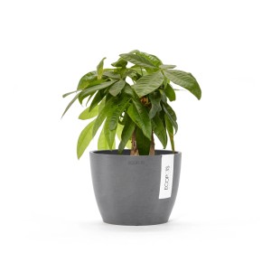 Ecopots Blumentopf Stockholm Grau 16 cm