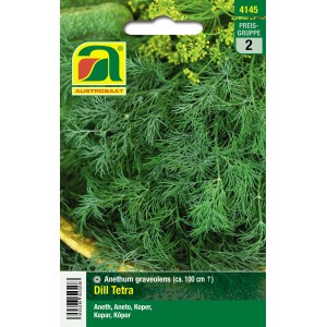 saatgut nordmanntanne Nordmanntanne Baum-Pflanz-Set  Abies nordmanniana selbst pflanzen