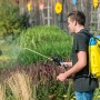 Mann nutzt Gloria Rückensprüher Hobby 1200 (6 bar) zur Pflanzenpflege im Garten.