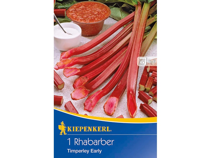 Kiepenkerl Rhabarber "Timperley Early" 1 Stück Rheum rhabarbarum kaufen