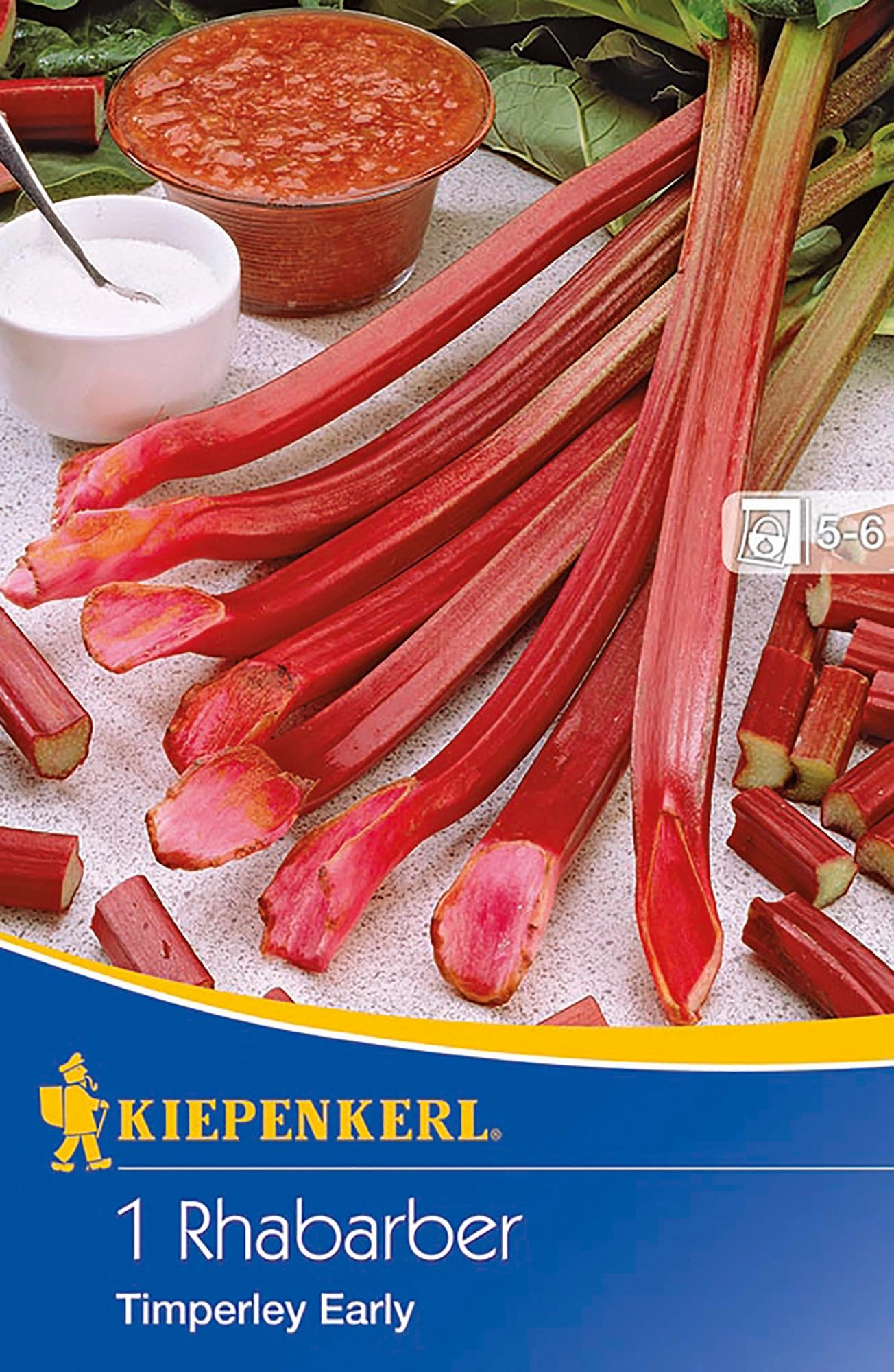 Kiepenkerl Rhabarber "Timperley Early" 1 Stück Rheum rhabarbarum kaufen