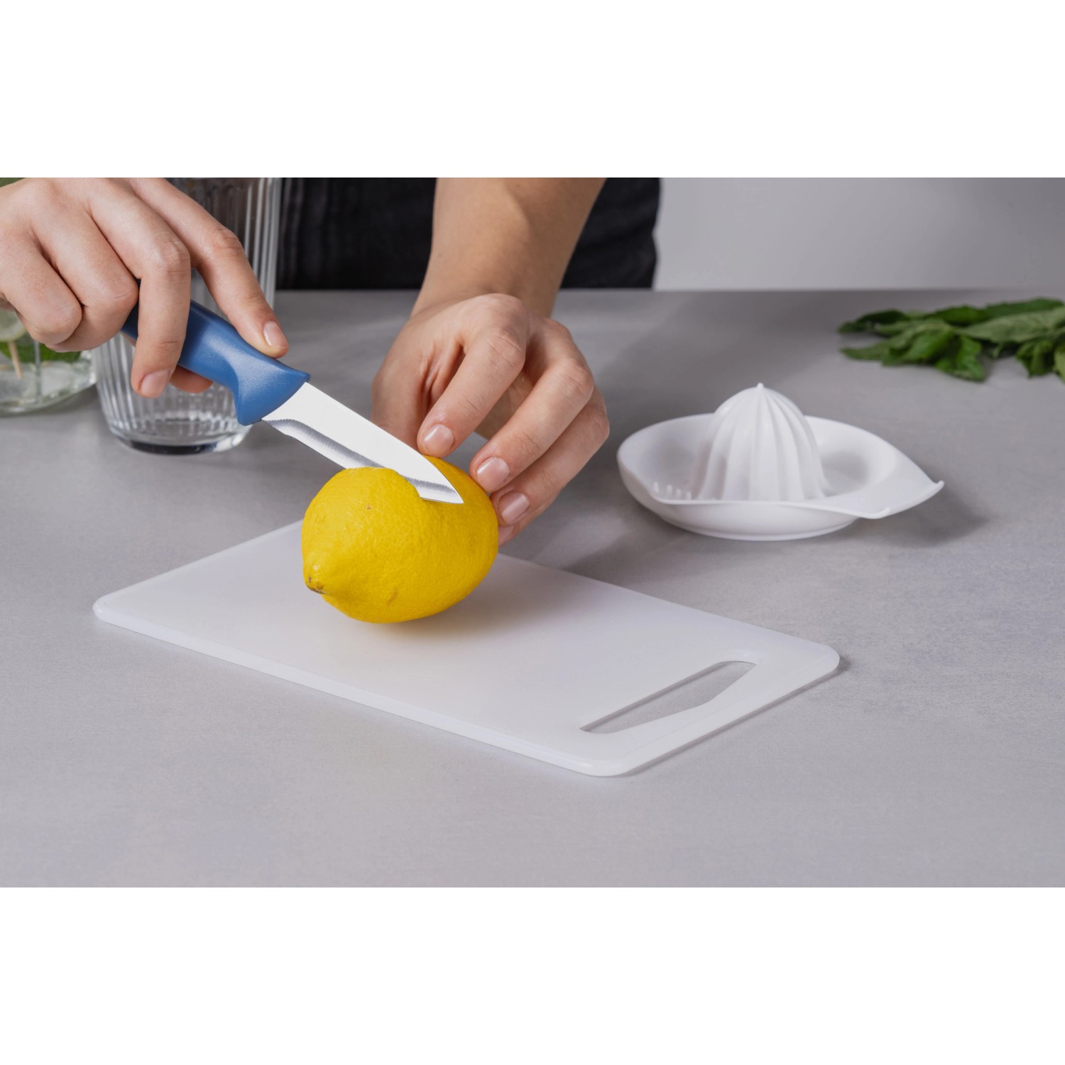 Fackelmann Gemüsemesser Essential 19 cm_2