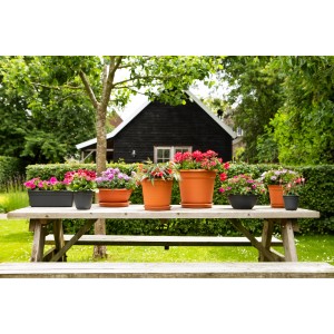 Verschiedene Florus Blumentöpfe (anthrazit, terracotta) auf einem Gartentisch mit Pflanzen.