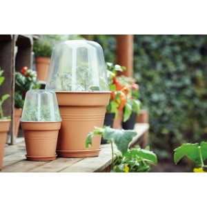 Elho Anzuchthauben Green Basics auf Pflanztöpfen, transparent, für optimales Pflanzenwachstum.
