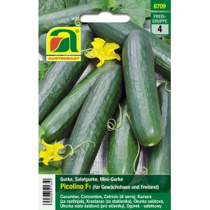 Austrosaat Minigurke Picolino F1 Samen, Snackgurke für Gewächshaus und Freiland.