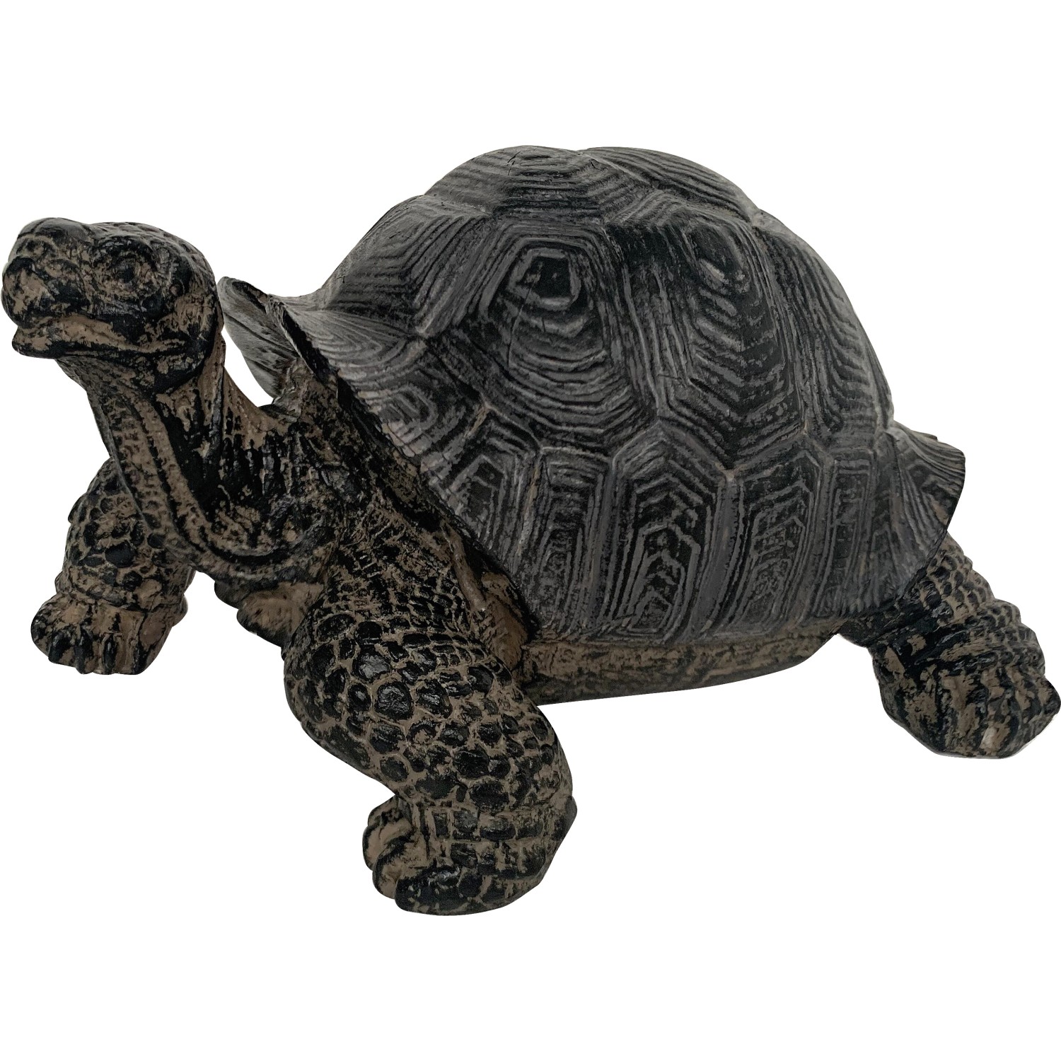 Gartenfigur Schildkröte 9 cm Dunkelgrau kaufen bei OBI