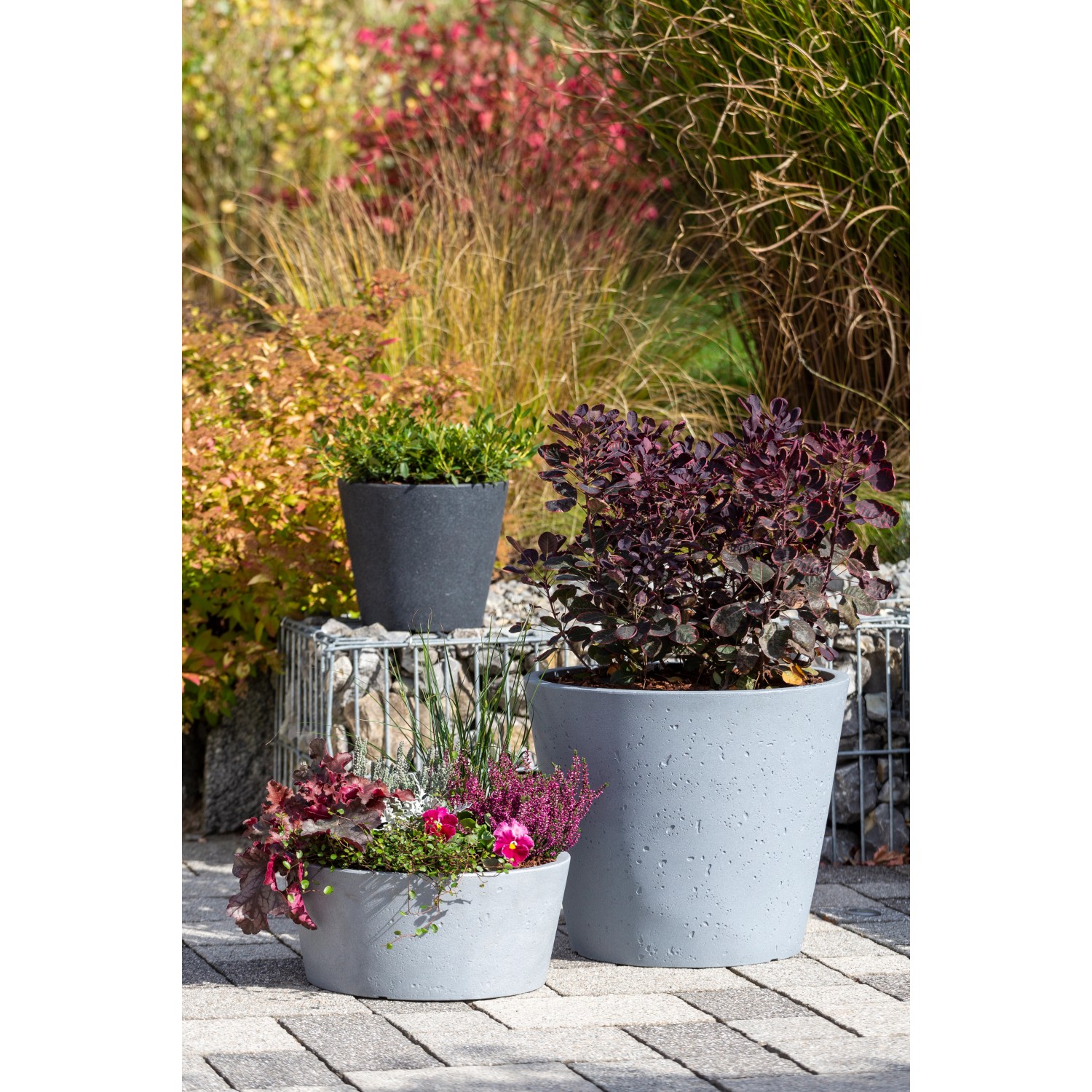 Scheurich C-Cone Pflanzgefäße in Stony Grey, verschiedene Größen und Bepflanzungen im Garten.