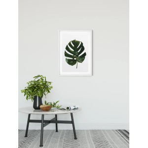 Komar Wandbild Monstera Leaf, 30x40 cm, im weißen Rahmen. Tropisches Pflanzenmotiv für die Wand.