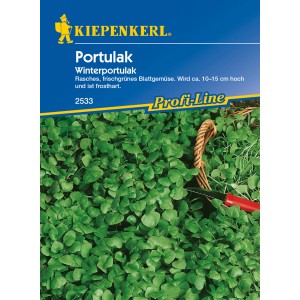 Kiepenkerl Winterportulak Samen: Packung mit grünen, frostharten Salatblättern.