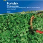 Kiepenkerl Winterportulak Samen: Packung mit grünen, frostharten Salatblättern.