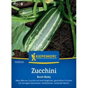 Kiepenkerl Zucchini Bush Baby F1 Saatgut mit gestreiften, dunkelgrünen Zucchini.