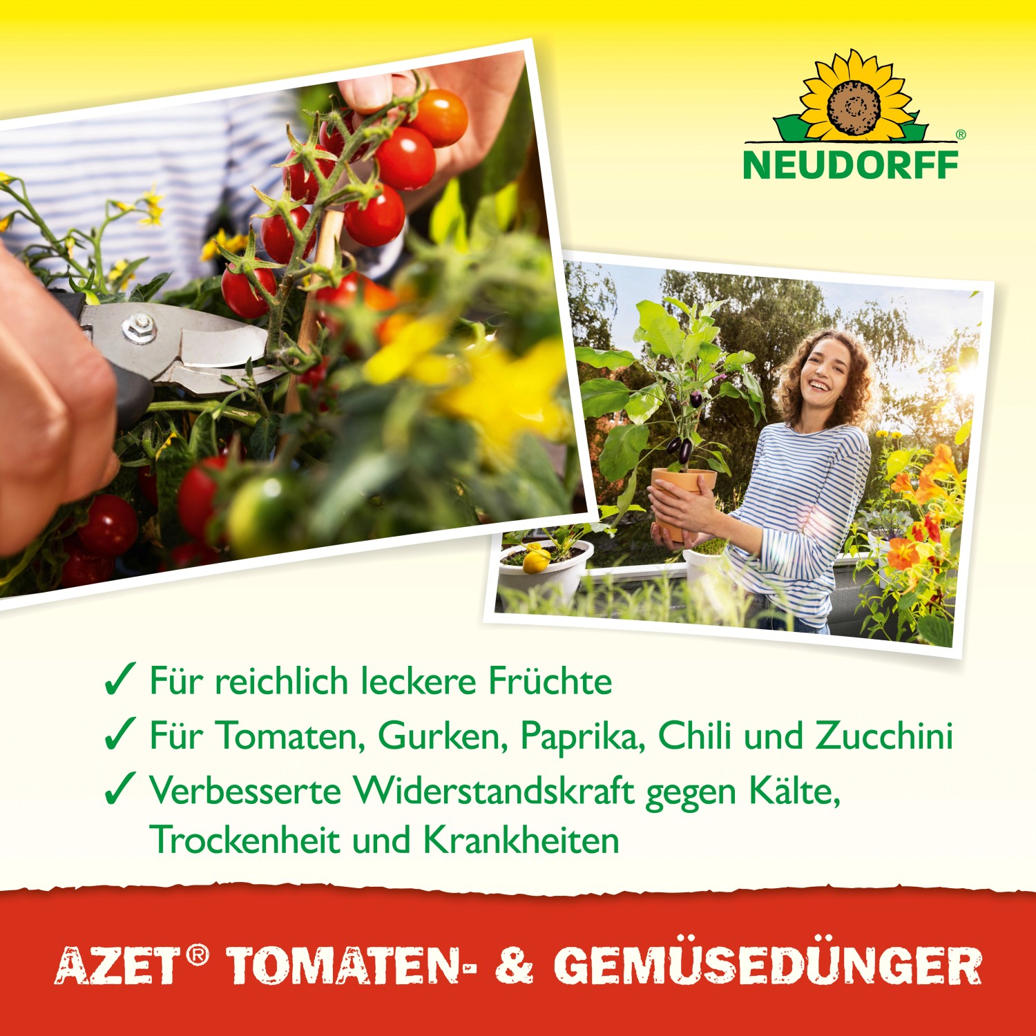 Neudorff Azet Plus Tomaten- und Gemüse-Dünger 1l: Tomatenpflanze wird geschnitten, Frau mit Aubergine.