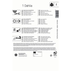 Kiepenkerl Dahlie Orient Express, Blumenzwiebel-Verpackung mit Pflegehinweisen.