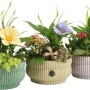 Zimmerpflanzen-Arrangement mit Kalanchoe, Fittonie und Einblatt in Keramikgefäßen.