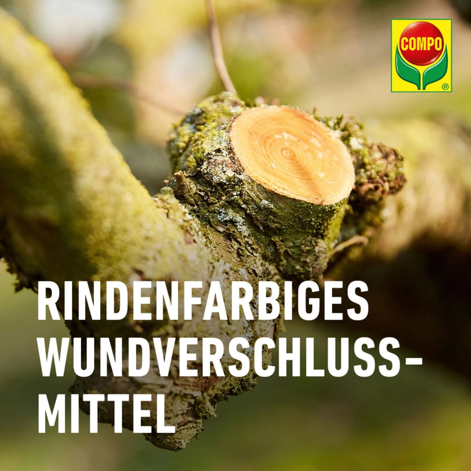 Baumwunde behandelt mit Lac Balsam Wundverschlussmittel, 385g.