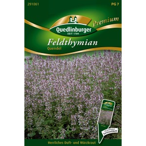 Quedlinburger Feld-Thymian "Quendel" Loses Saatgut