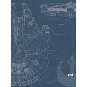 Komar Wandbild Star Wars Falcon 30 x 40 cm