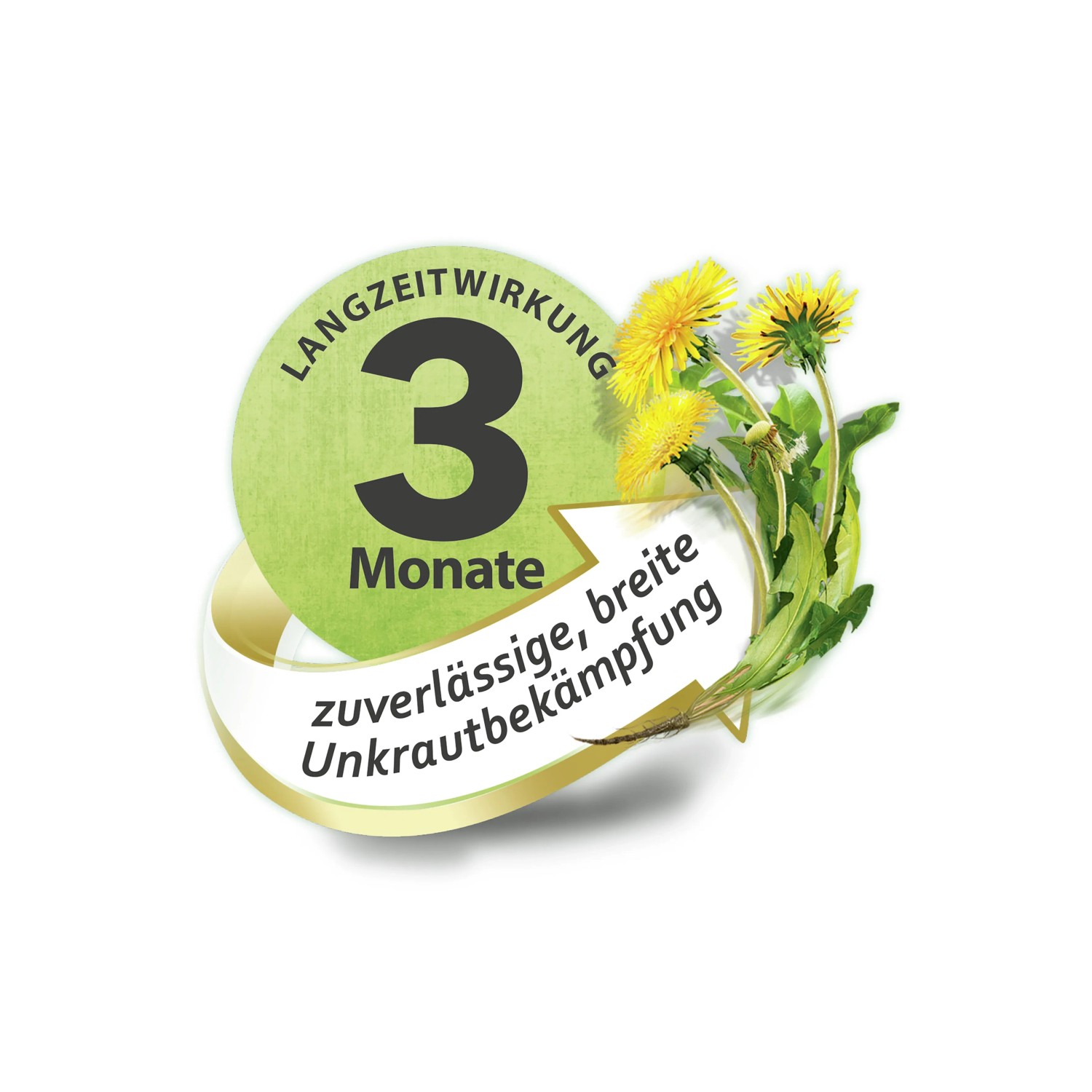 Compo Rasendnger plus Unkrautvernichter 1,5 kg fr 50 m kaufen bei OBI