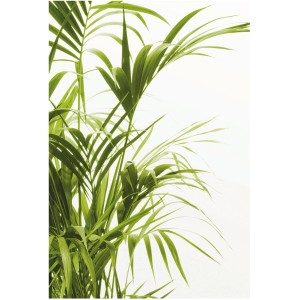 Komar Wandbild Reed Leaves, 50x70 cm, mit detailreicher Darstellung von Schilfblättern in Grüntönen.