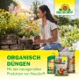 Neudorff Azet Beeren- und Obst-Dünger 1kg mit Frau beim Pflanzen im Garten.