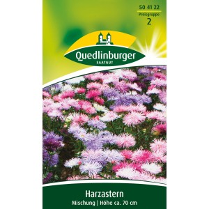 Quedlinburger Harzaster Mischung: Farbenfrohe, gefüllte Astern in Rosa, Lila und Weiß für Beet und Schnitt.