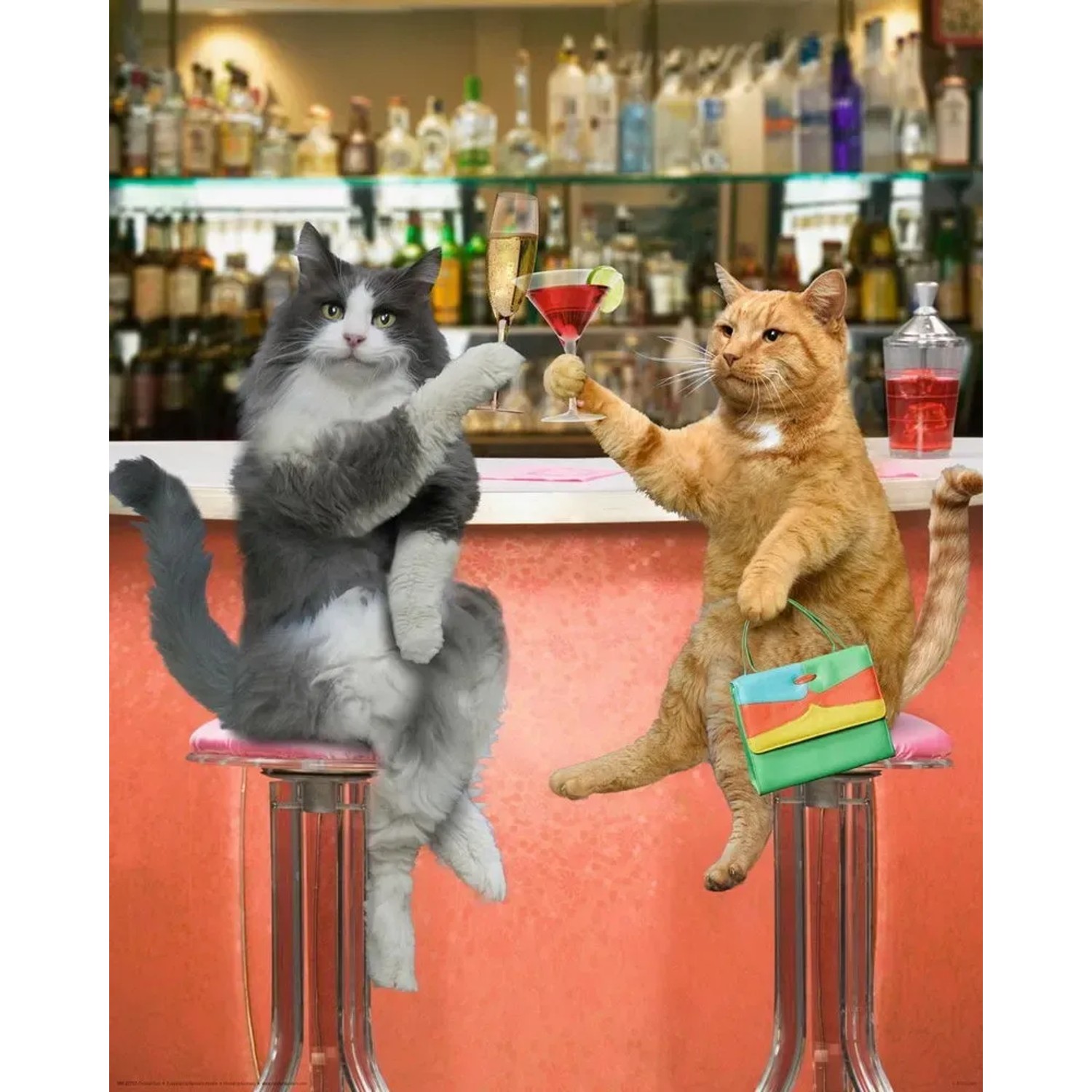 Fertigbild Deco Panel mit Katzen an einer Bar, 40x50 cm.