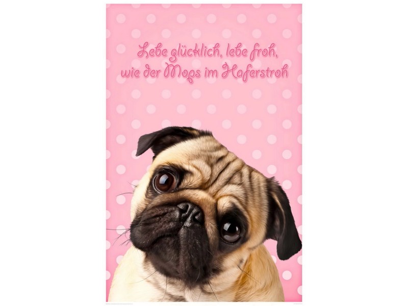 Maxiposter Mops 61 cm x 91,5 cm kaufen bei OBI