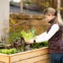 Frau erntet Salat in einem Westmann Hochbeet XL aus Fichte im Garten.