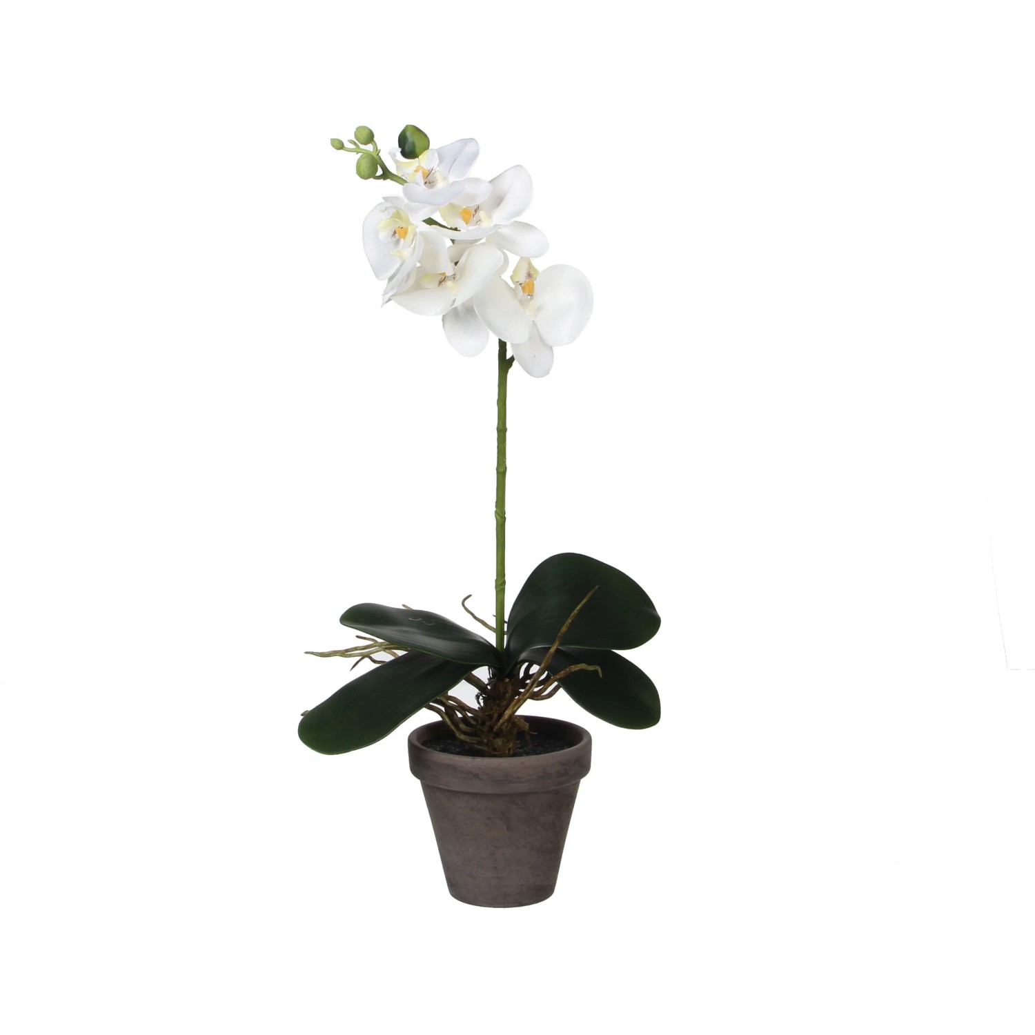 Mica Decorations Kunstpflanze Phalaenopsis im Topf  13 cm x 48 cm Wei  kaufen bei OBI