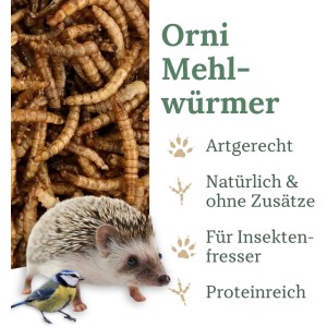 Orni Mehlwürmer: getrocknetes Insektenfutter für Wildvögel und Igel. Proteinreich, ohne Zusätze.