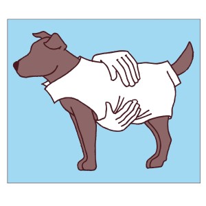 Illustration: Brauner Hund mit weißem Hundepullover Arktis, anprobiert von Händen.