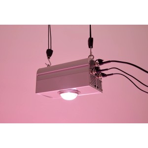 Parus by Venso LED-Pflanzenlampe Canna Bulb 150 mit Aufhängung für Pflanzenanzucht.