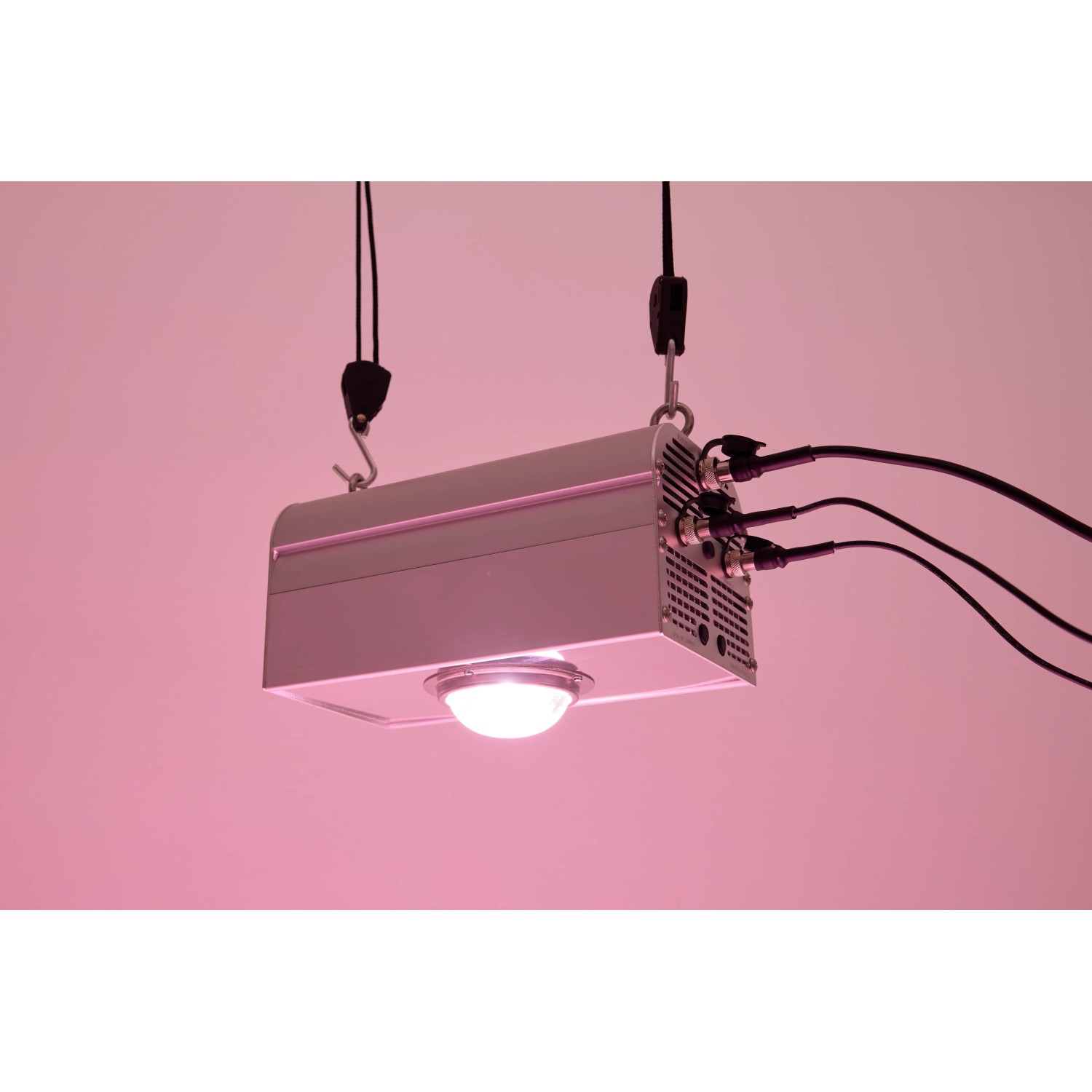 Parus by Venso LED-Pflanzenlampe Canna Bulb 150 mit Aufhängung für Pflanzenanzucht.