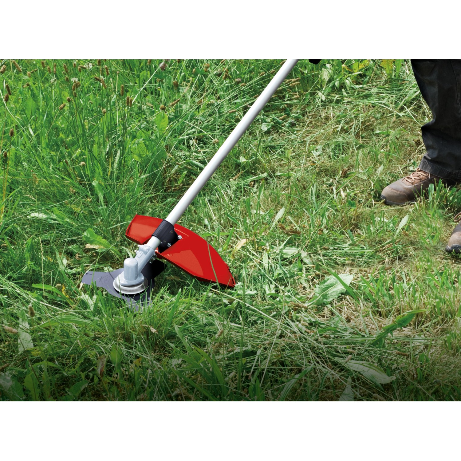 Einhell GC-BC 25/1 I AS Benzin-Sense beim Trimmen von Gras.