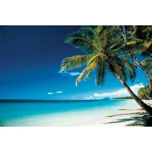 Maxiposter Beach - Morning 61 cm x 91,5 cm