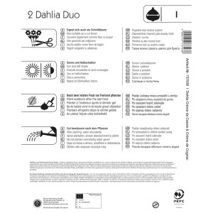 Kiepenkerl Dahlien-Duo Creme de Cassis und Creme de Cognac, 2 Stück Blumenzwiebeln.