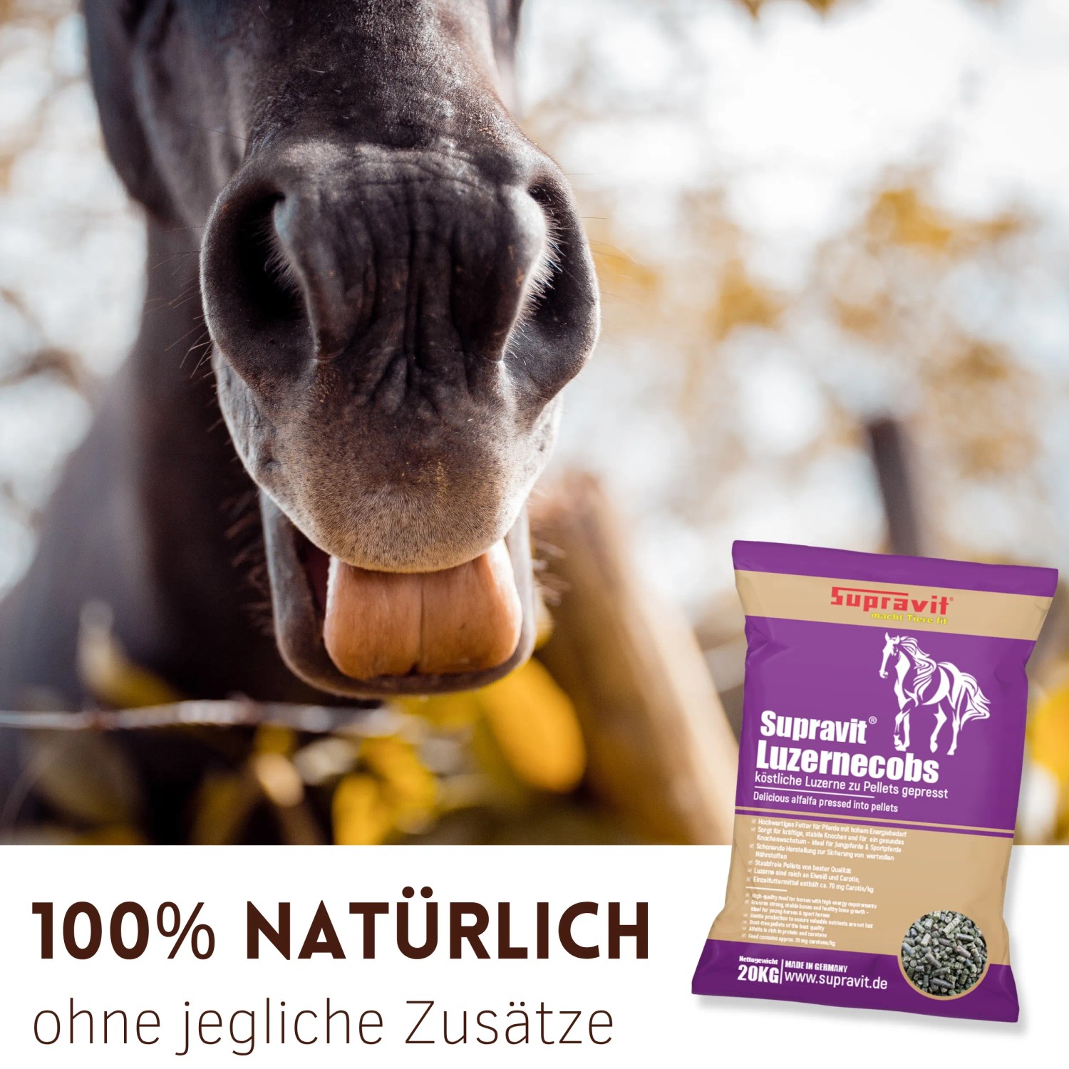 Pferdemaul mit Zunge und violetter Supravit Luzernecobs Pferdefutter Beutel. Natürliche Luzernepellets mit Carotin für Pferde.