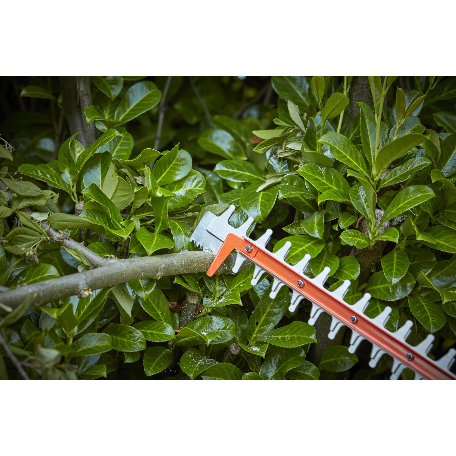 Black+Decker AkkuHeckenschere BCHTS36B Basis 36V 55cm
