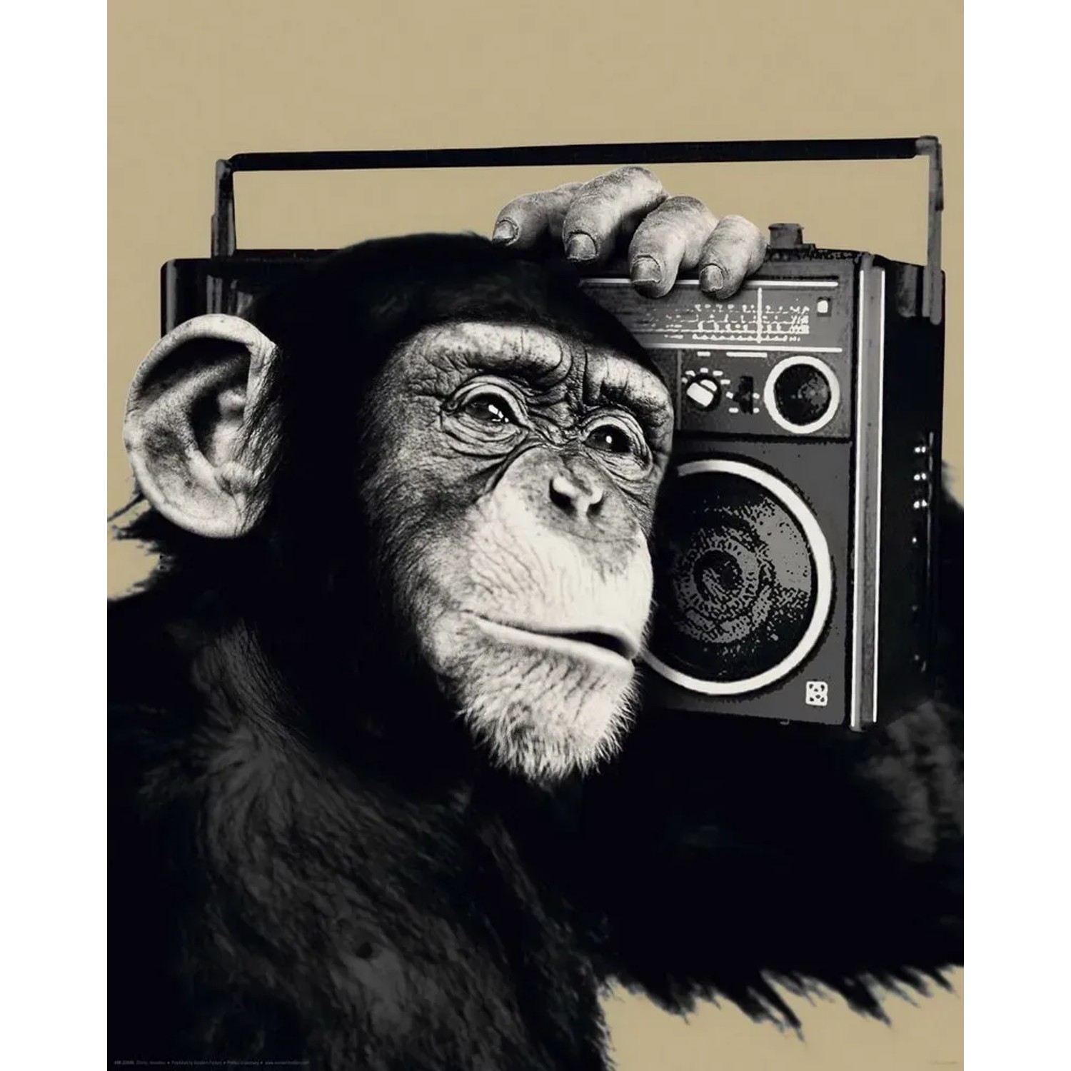 Deco Panel Fertigbild: Affe mit Retro-Radio, 40x50 cm. Wandbild für Wohnraum.
