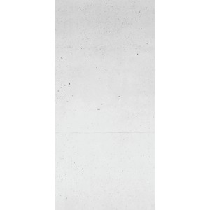 Sanowall Duschrückwand in Betonoptik mit hoher Kratzfestigkeit.
