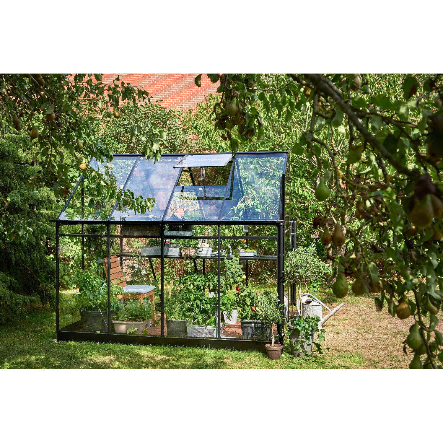 Schwarzes Halls Gewächshaus Qube 68 (5 m²) mit Pflanzen im Garten.