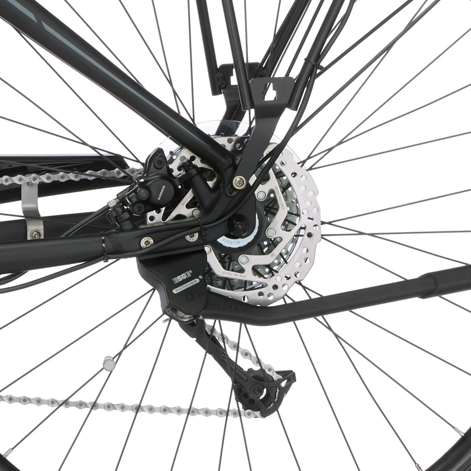 Detailaufnahme: Hinterrad mit Scheibenbremse und Ständer am Fischer E-Bike Trekking-Rad.