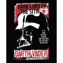 Komar Wandbild: Darth Vader "The Chosen One" in Rot, 40x50cm, Star Wars Motiv.