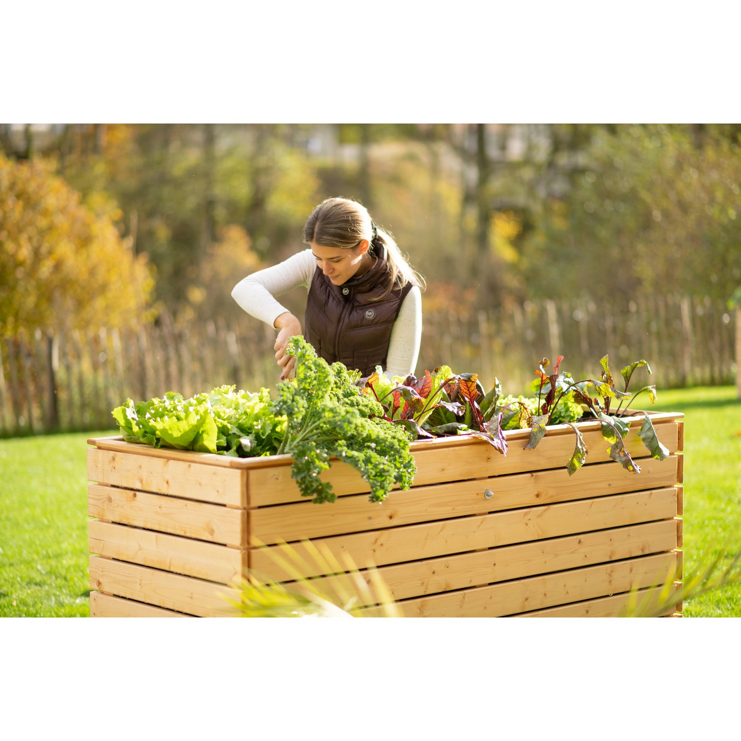 Frau gärtnert im Westmann Hochbeet XL aus Fichte mit Salat, Kohl und Rüben im Garten.