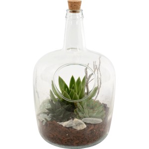 Sukkulenten-Arrangement in Glasflasche mit Korken und Naturdeko, ca. 22 cm hoch.