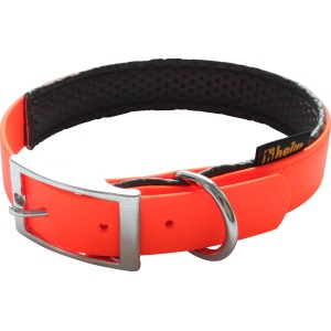 Leuchtoranges Heim Hundehalsband aus BioThane, 25 mm breit und 50 cm lang.