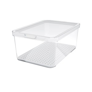 Rotho Kühlschrankorganizer Cauma 4,65 l, transparenter Küchenhelfer mit Deckel und Abtropfeinsatz.